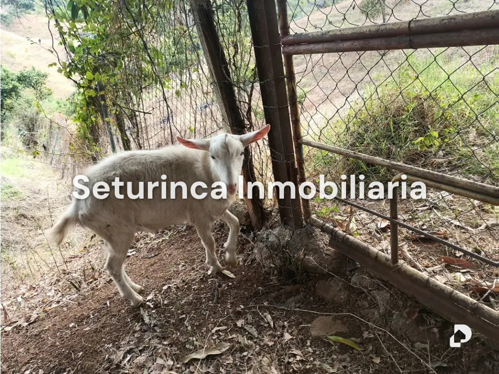 Farm in San Casimiro, Camatagua – 98