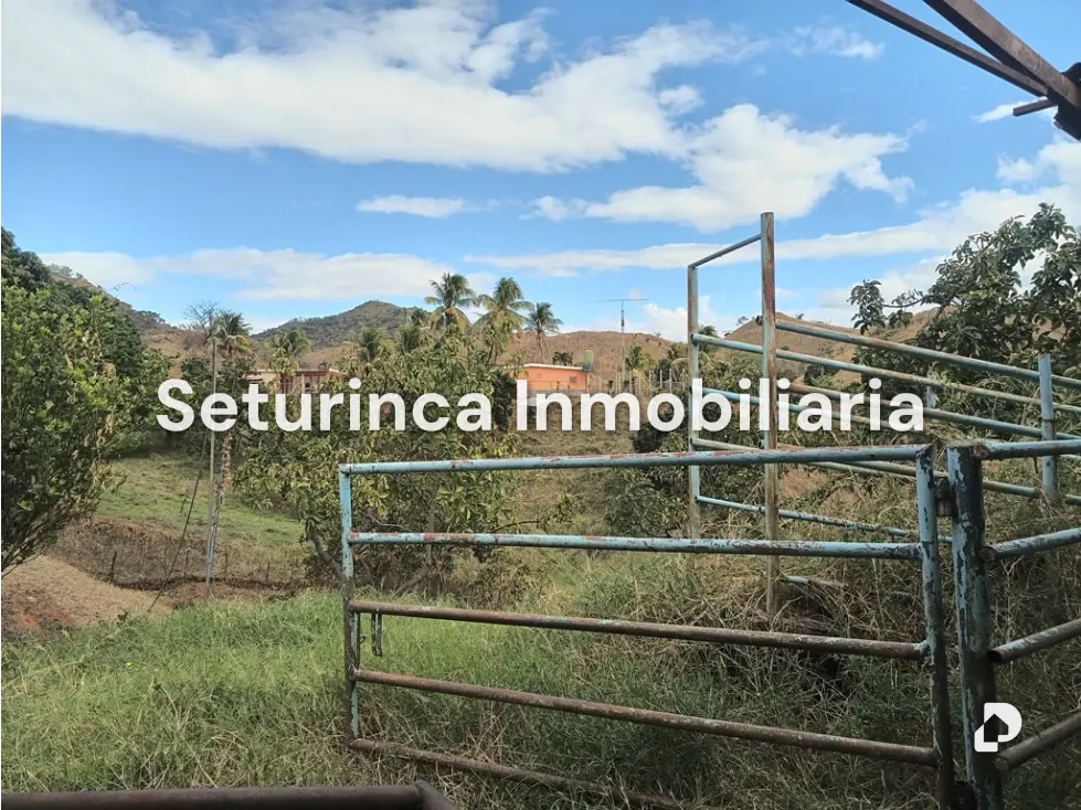 Farm in San Casimiro, Camatagua – 80