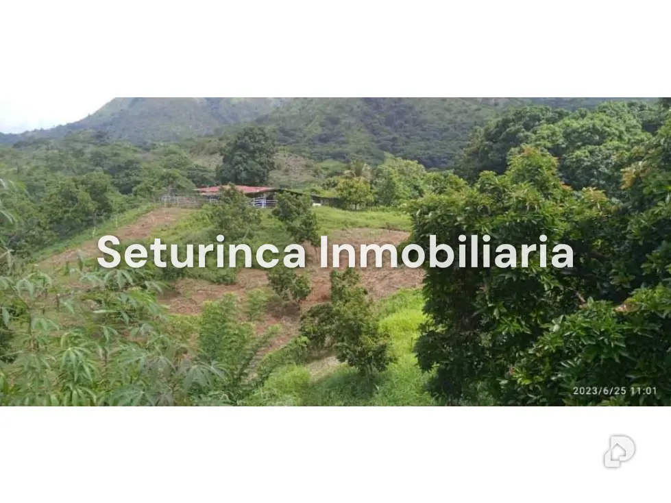 Farm in San Casimiro, Camatagua – 43