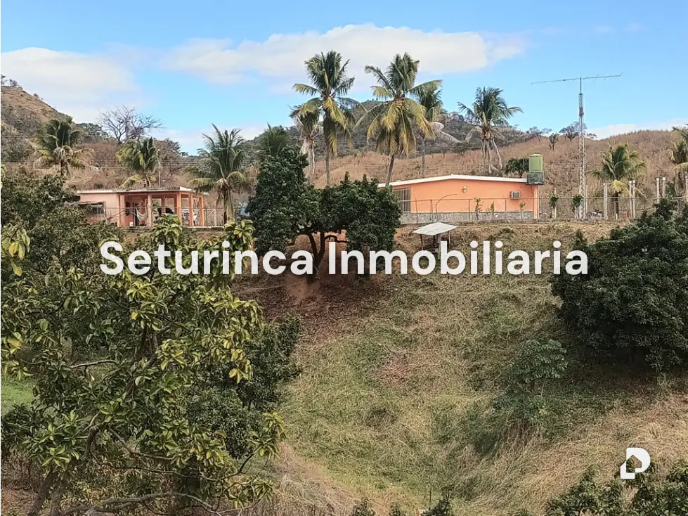 Farm in San Casimiro, Camatagua – 74