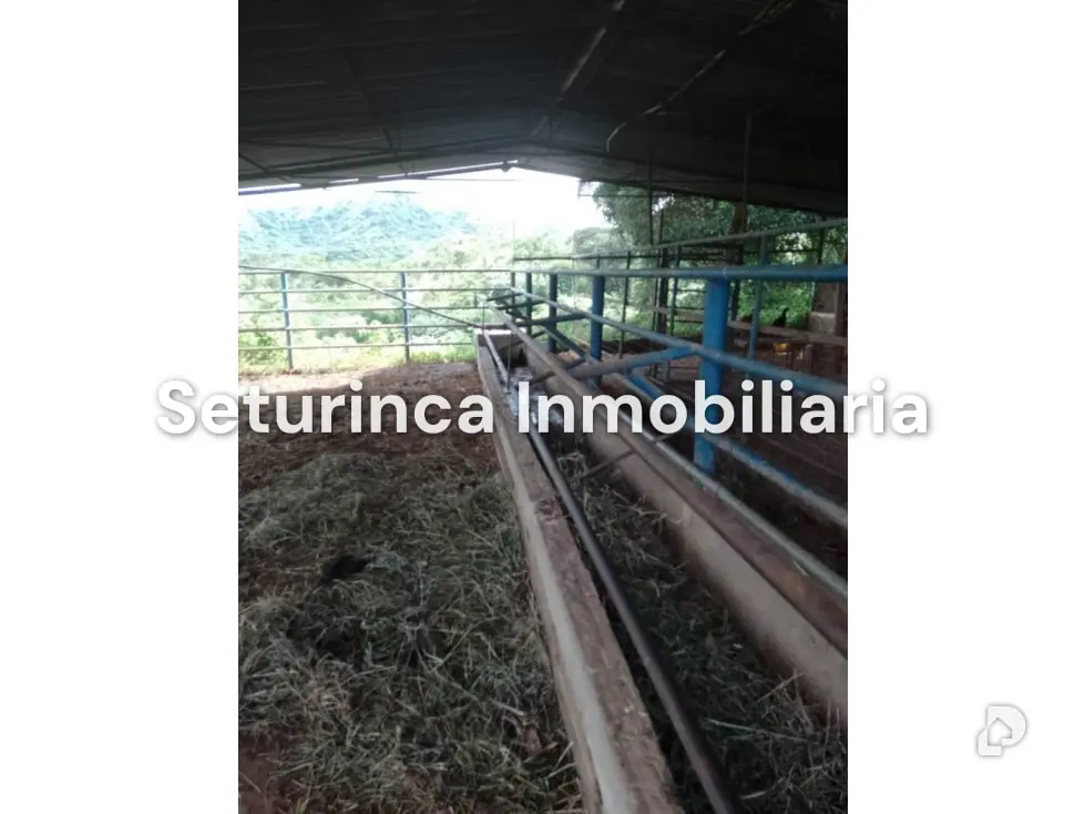 Farm in San Casimiro, Camatagua – 75
