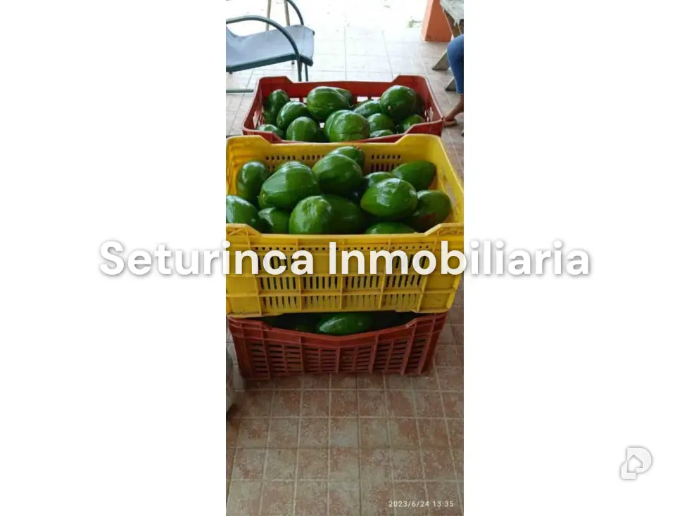 Farm in San Casimiro, Camatagua – 52