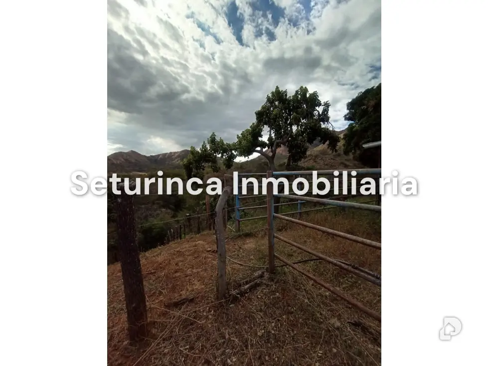 Farm in San Casimiro, Camatagua – 77
