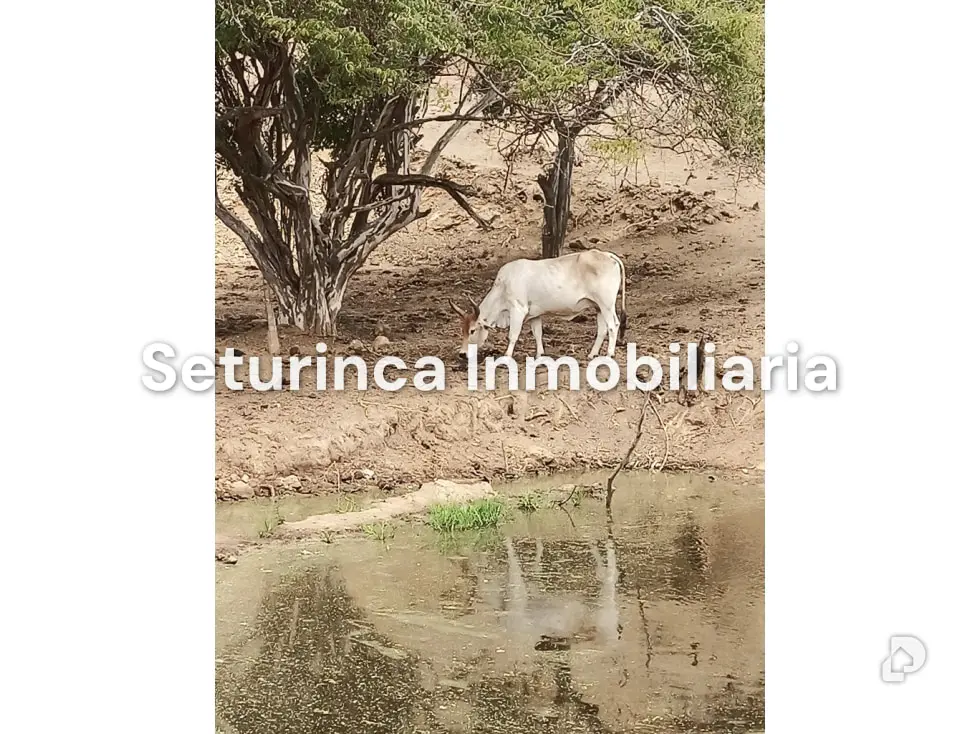 Farm in San Casimiro, Camatagua – 93