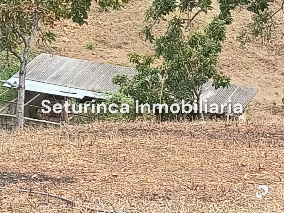 Farm in San Casimiro, Camatagua – 81