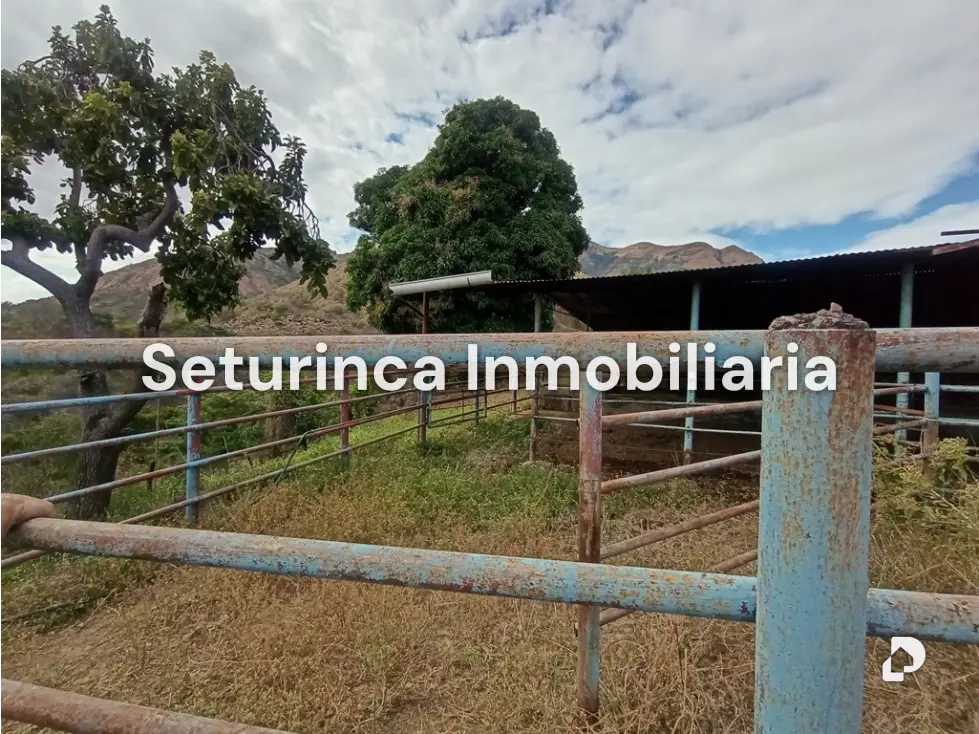 Farm in San Casimiro, Camatagua – 79
