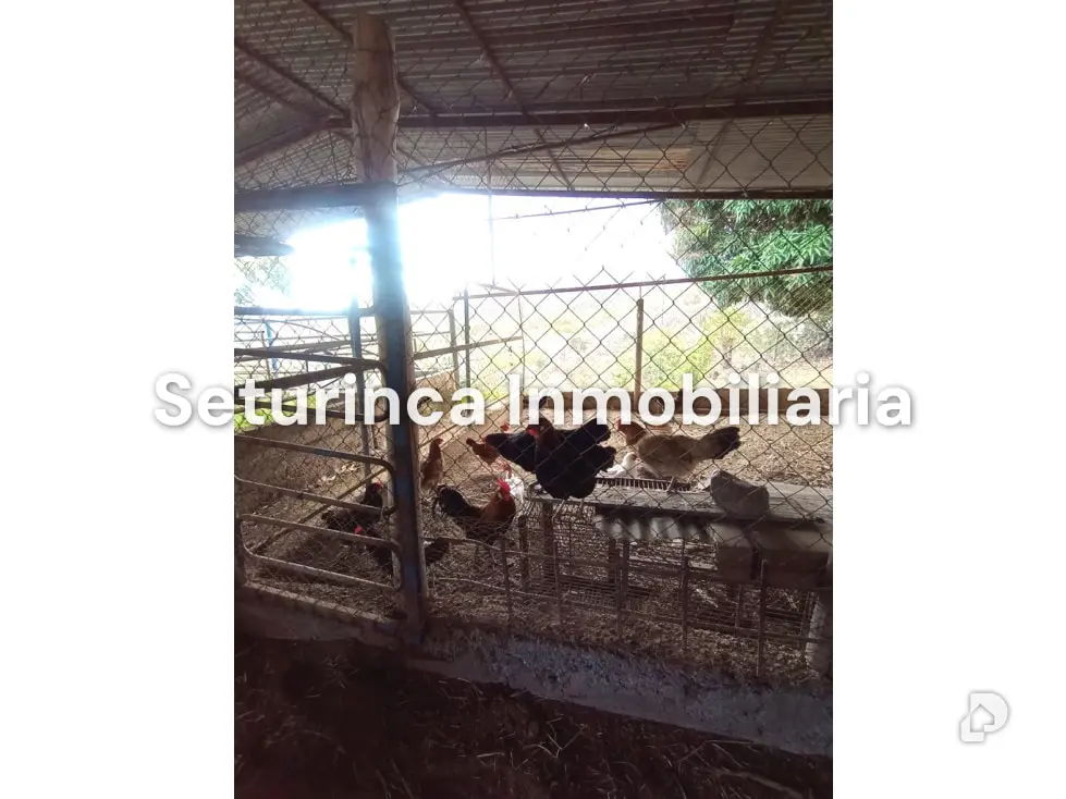 Farm in San Casimiro, Camatagua – 87