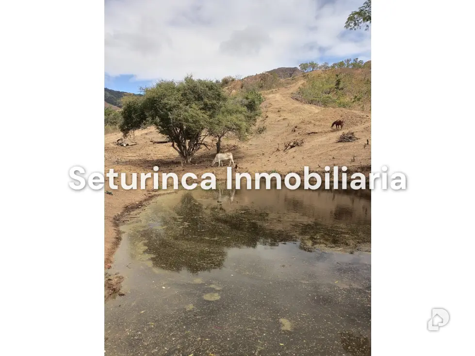 Farm in San Casimiro, Camatagua – 5