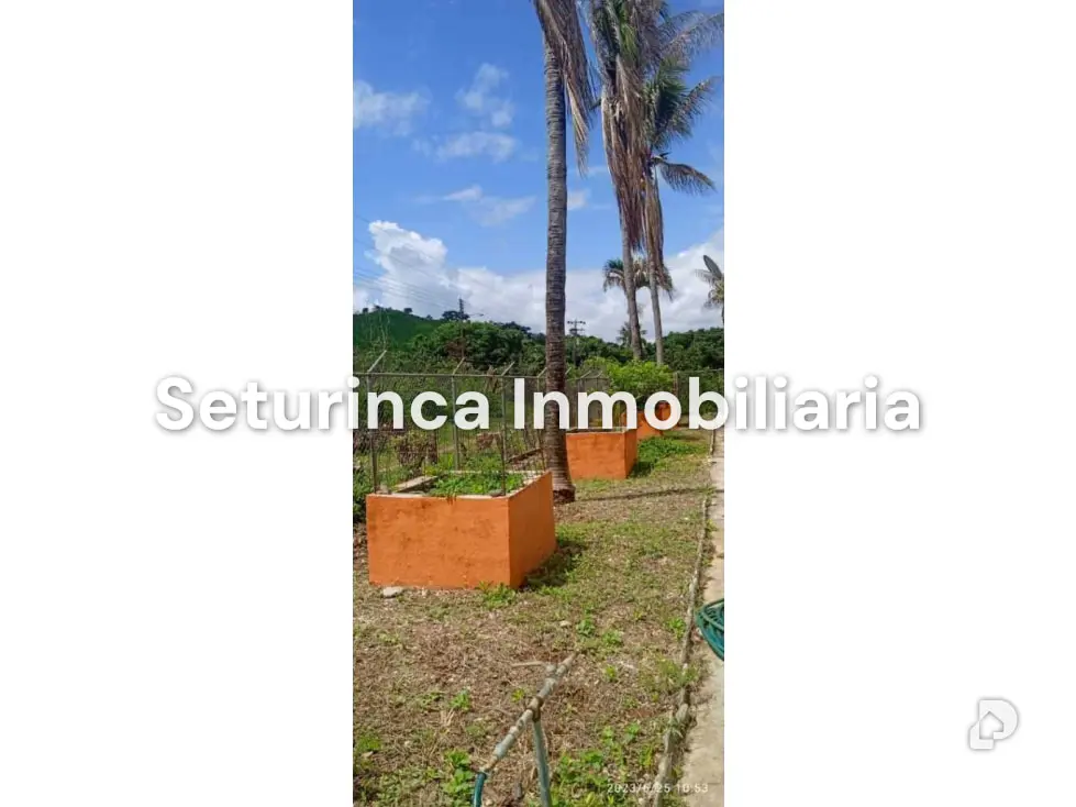 Farm in San Casimiro, Camatagua – 44