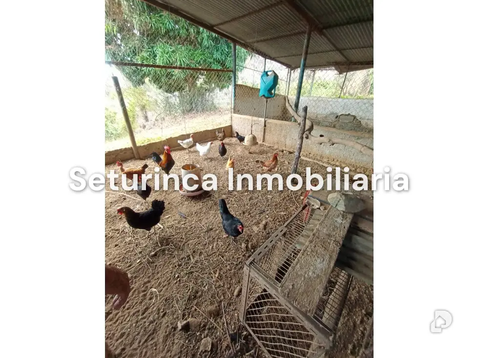 Farm in San Casimiro, Camatagua – 94