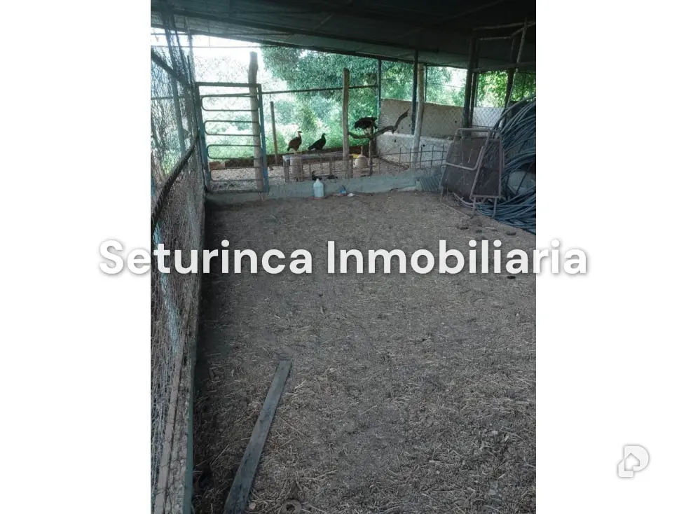 Farm in San Casimiro, Camatagua – 76