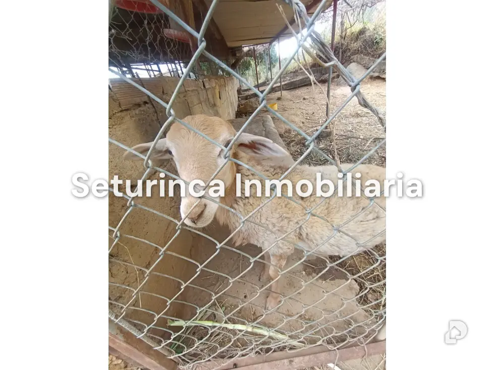 Farm in San Casimiro, Camatagua – 90