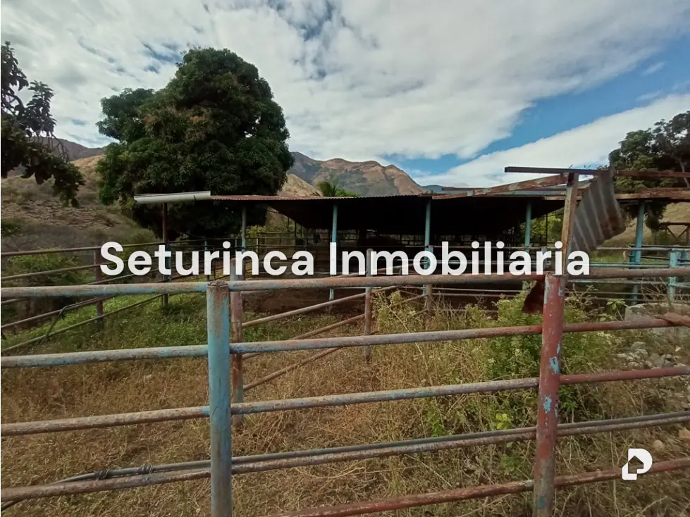 Farm in San Casimiro, Camatagua – 78
