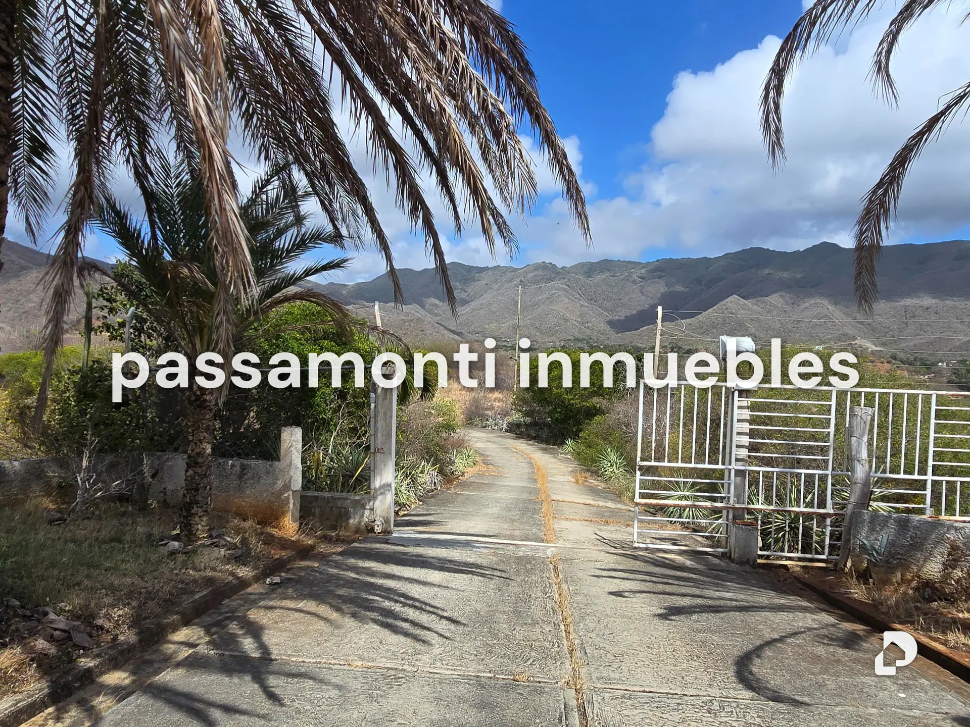 House in Antolín del Campo, Margarita (sureste) – 13