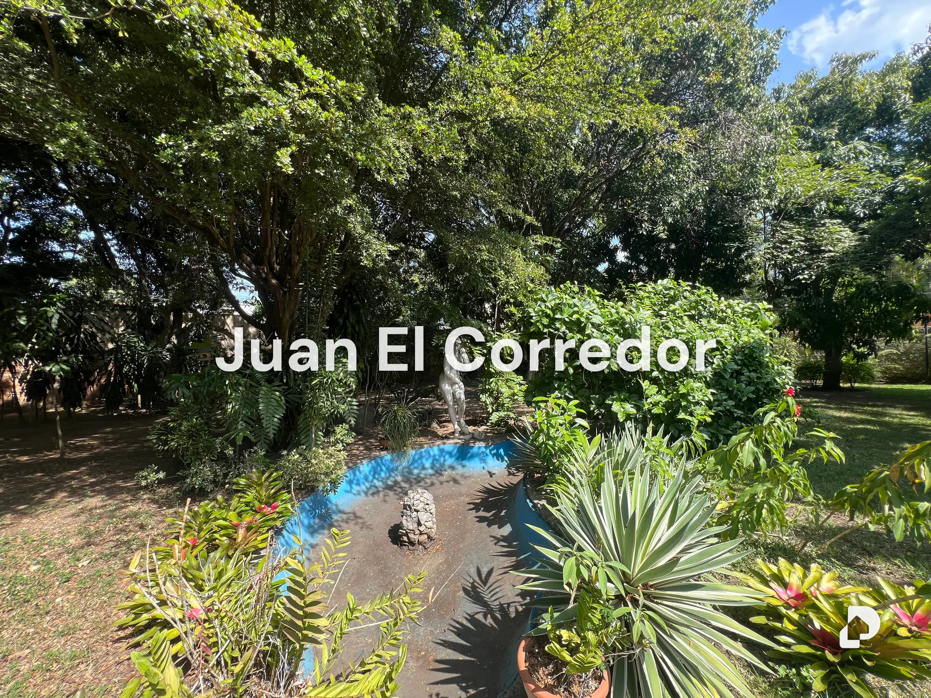 House in Los Chorros, Caracas – 3