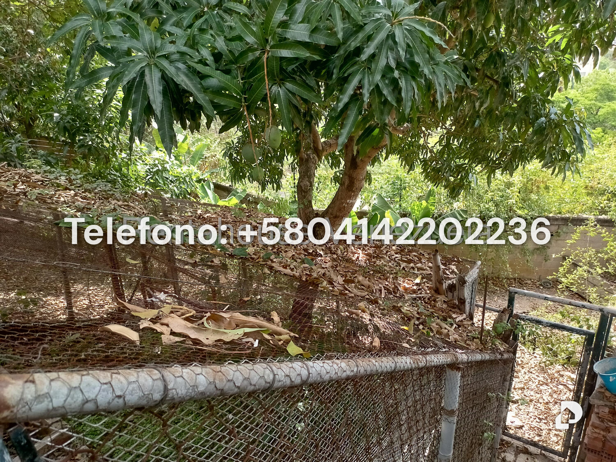 Casa en Colinas de La California, Caracas – 83