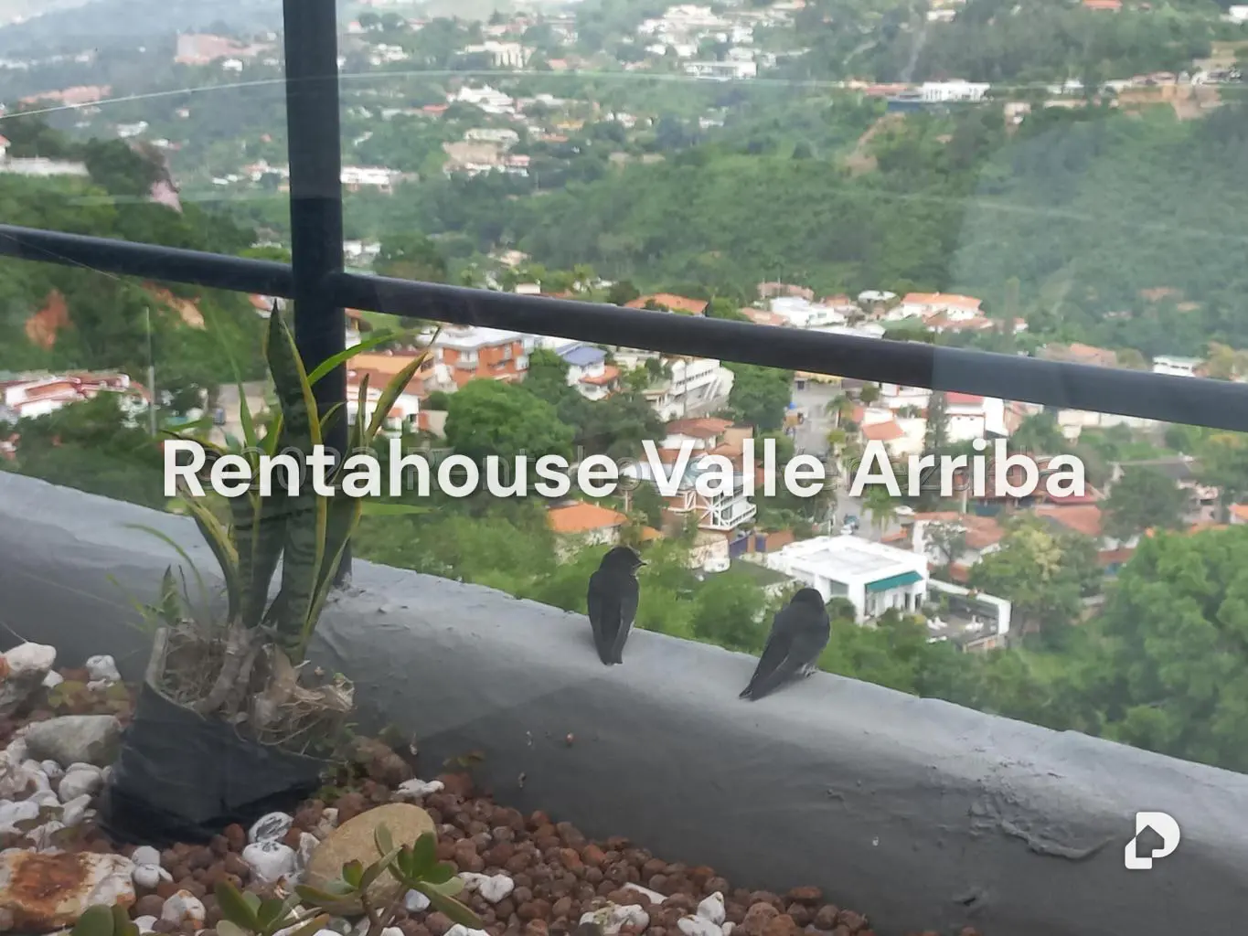 Apartamento en Lomas del Mirador, Caracas – 28