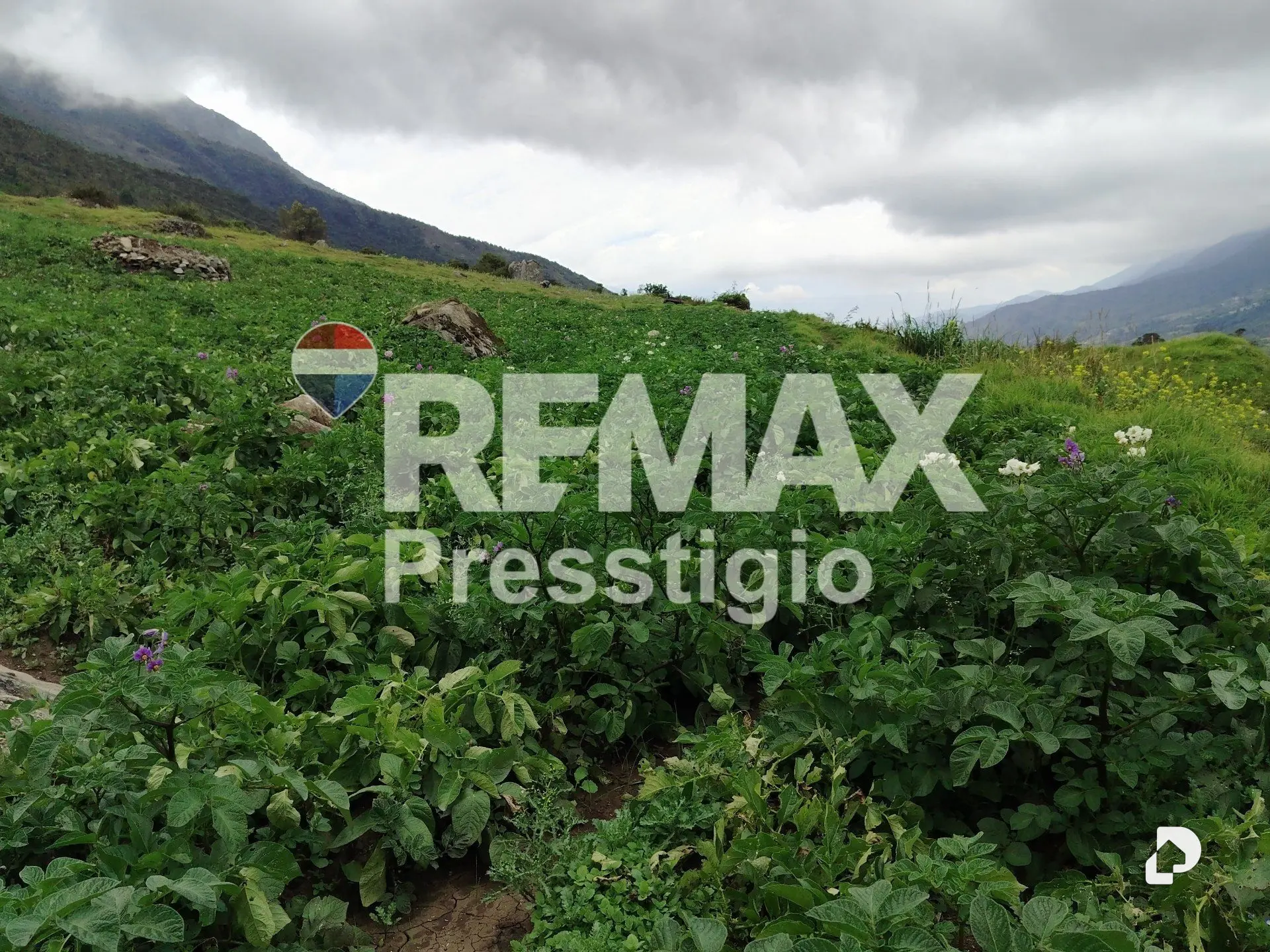 Terreno en La Culata – 17