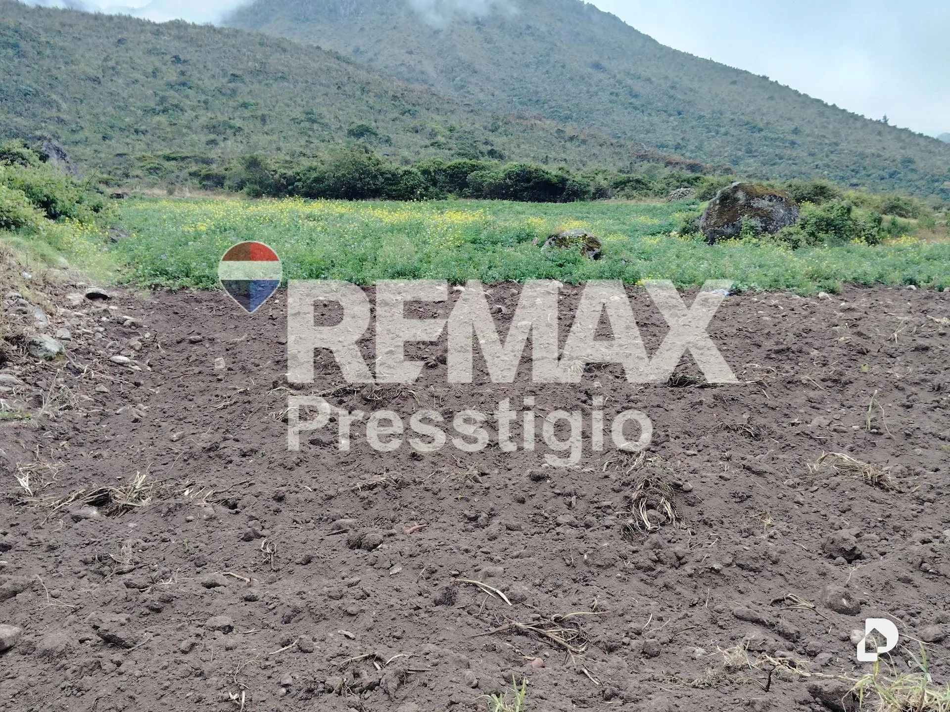 Terreno en La Culata – 24