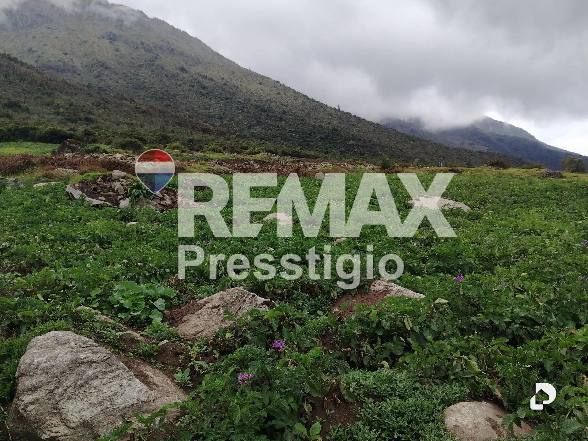 Terreno en La Culata – 18