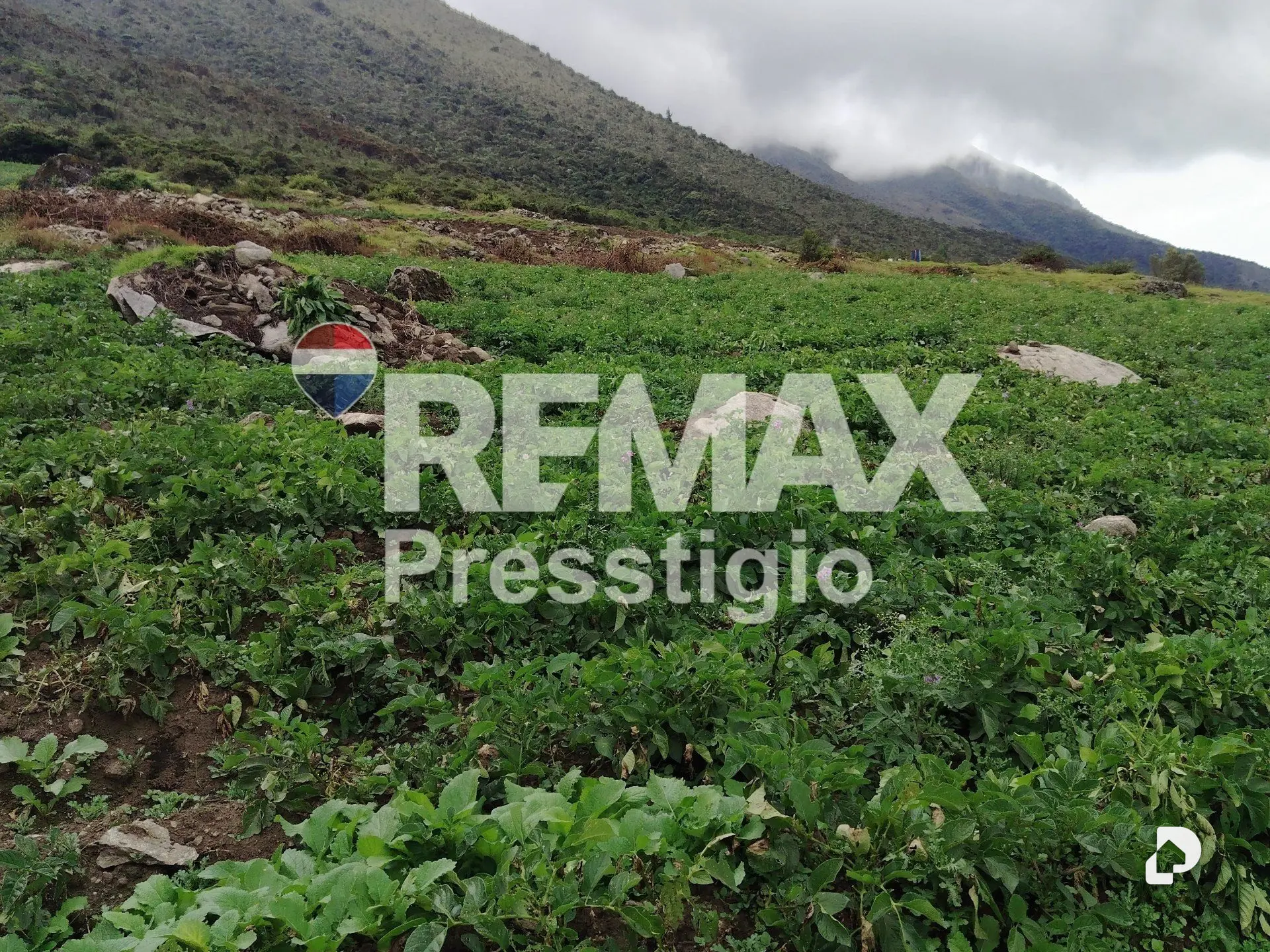 Terreno en La Culata – 20