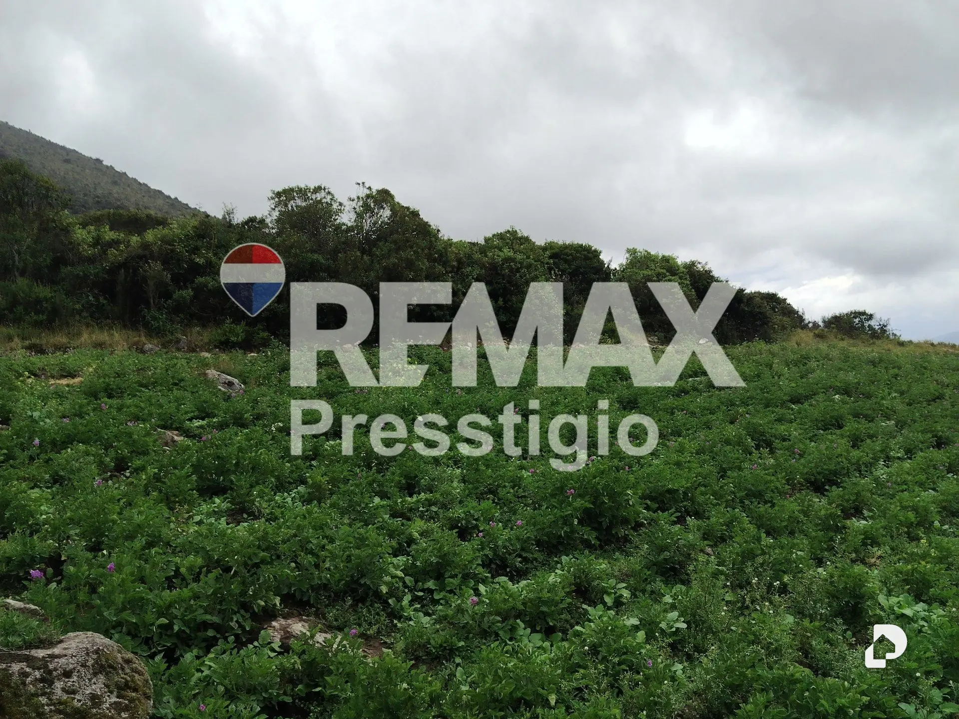 Terreno en La Culata – 29