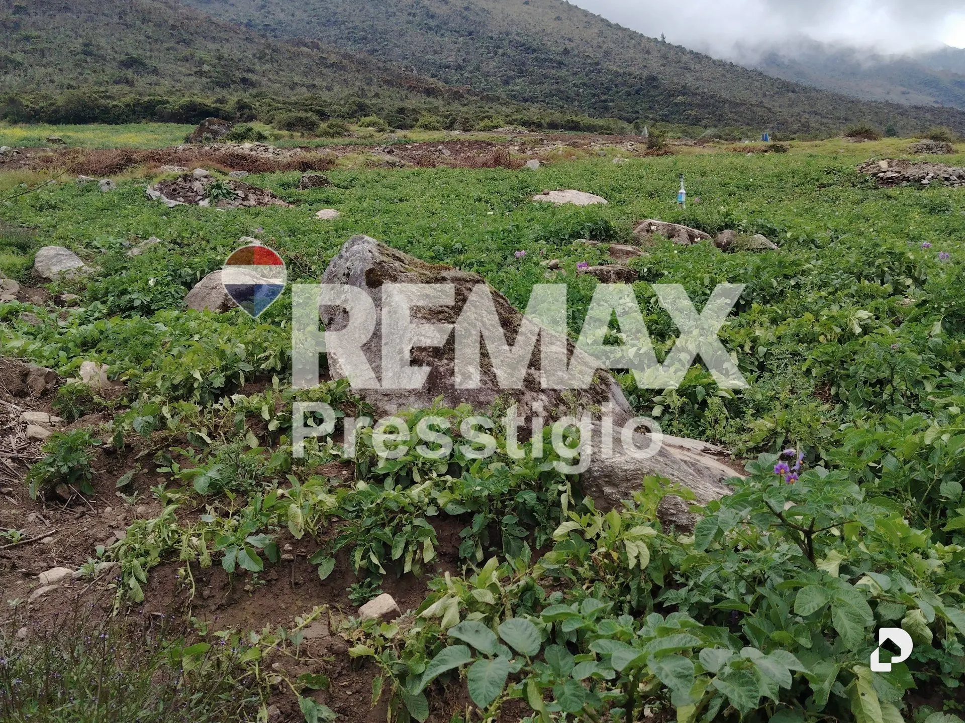 Terreno en La Culata – 15