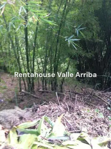Land in Oripoto, Caracas – 7