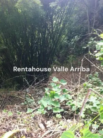 Land in Oripoto, Caracas – 5