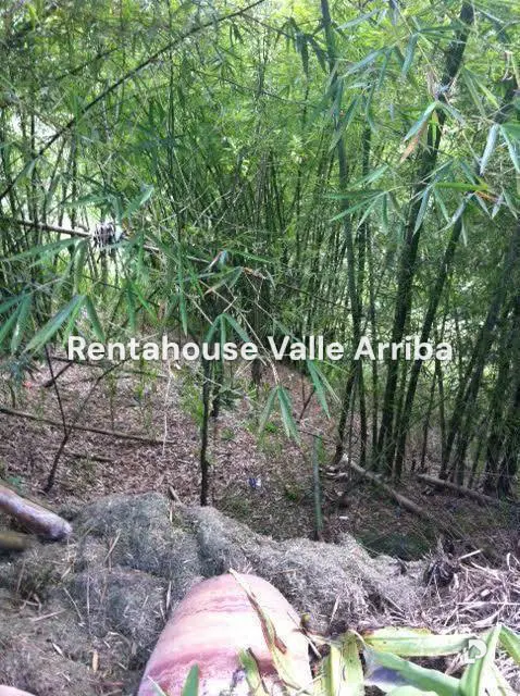 Land in Oripoto, Caracas – 9