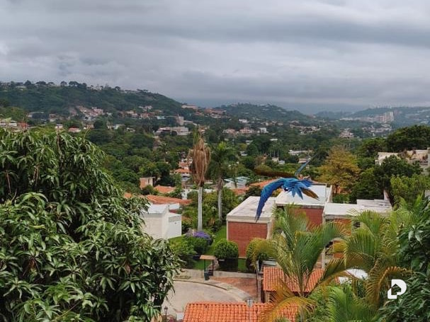 Casa en Prados del Este, Caracas – 13