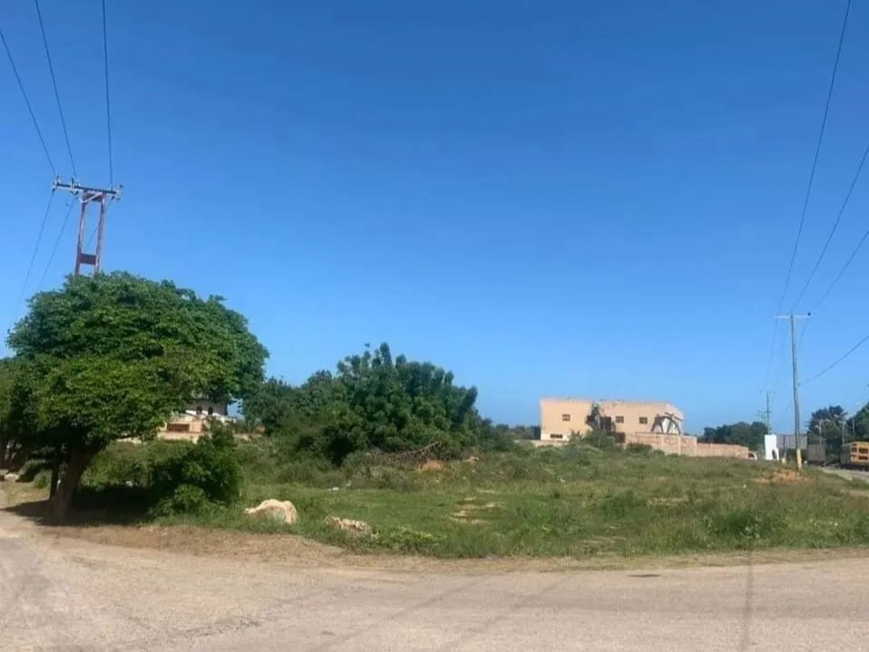 Terreno en Antolín del Campo - 1
