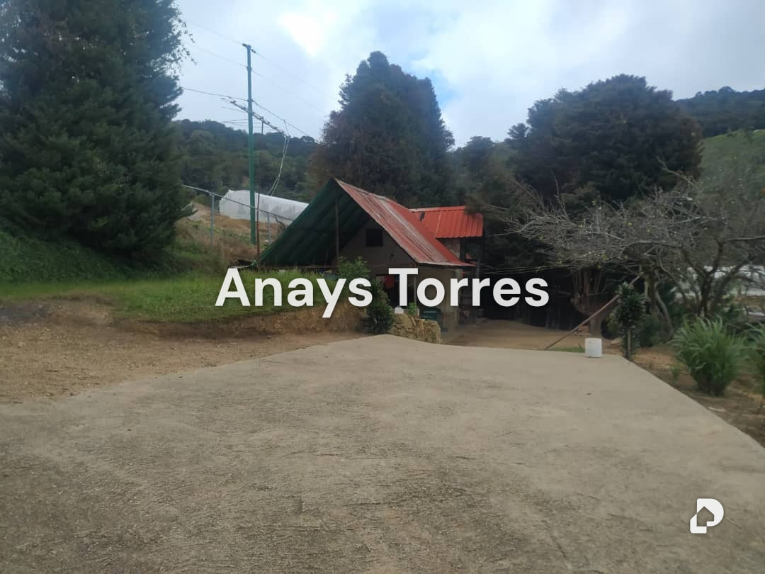 Finca en Los Teques, Altos Mirandinos – 12