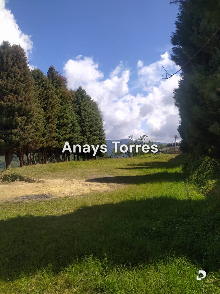 Finca en Los Teques, Altos Mirandinos – 7