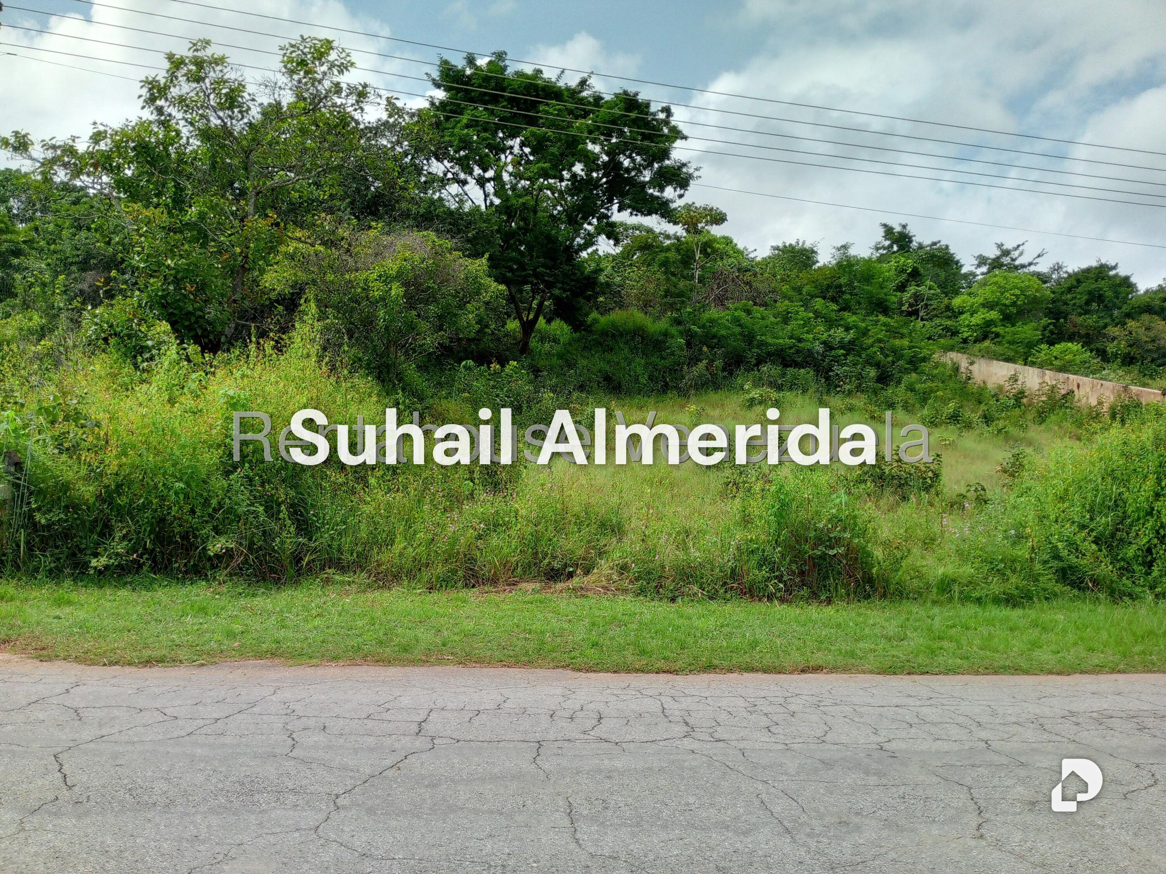 Terreno en Safari Carabobo, Libertador