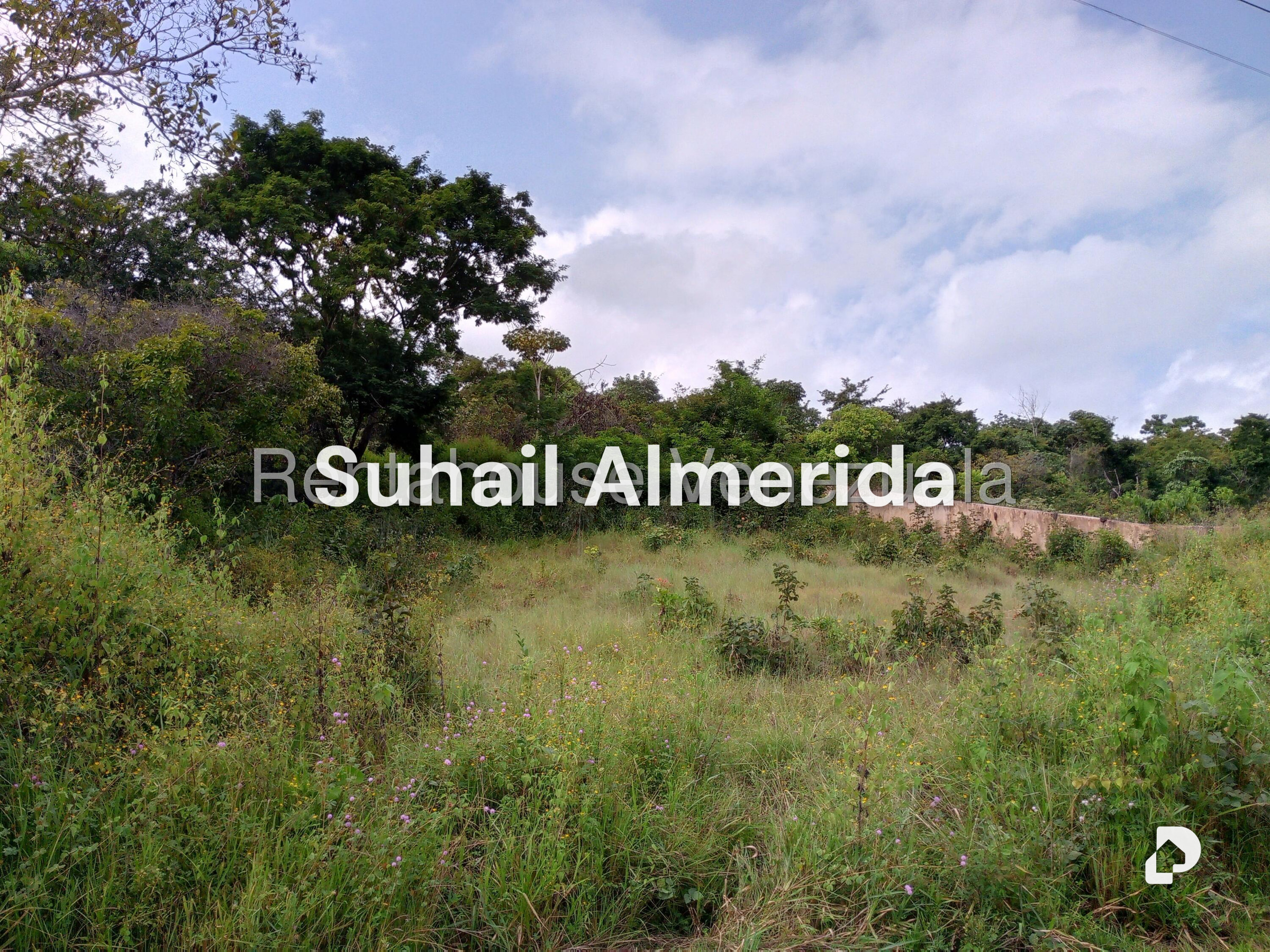Terreno en Safari Carabobo, Libertador