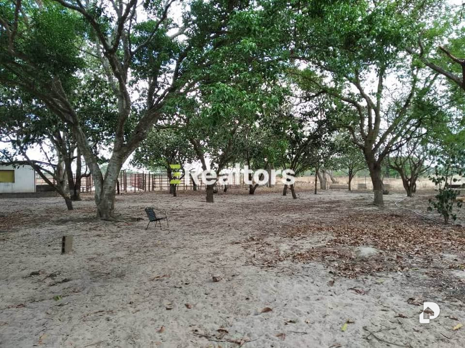 Finca en Maturín – 8