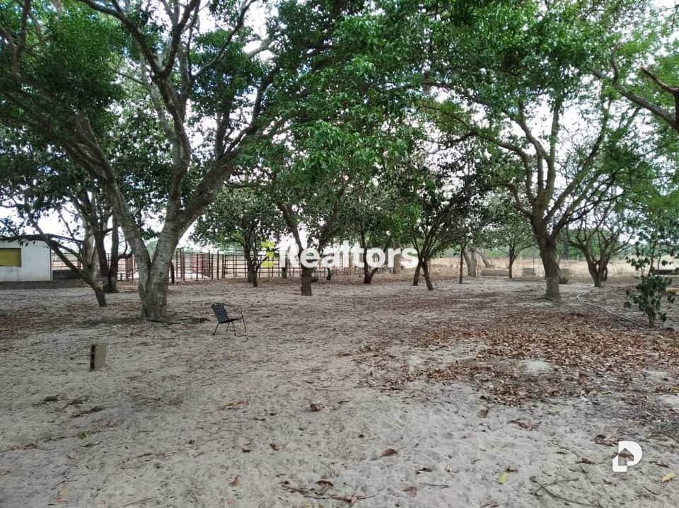 Finca en Maturín – 4