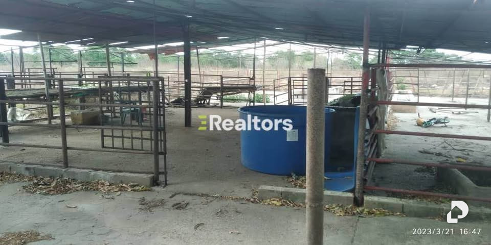 Finca en Maturín – 10