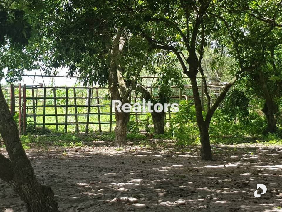 Finca en Maturín – 7