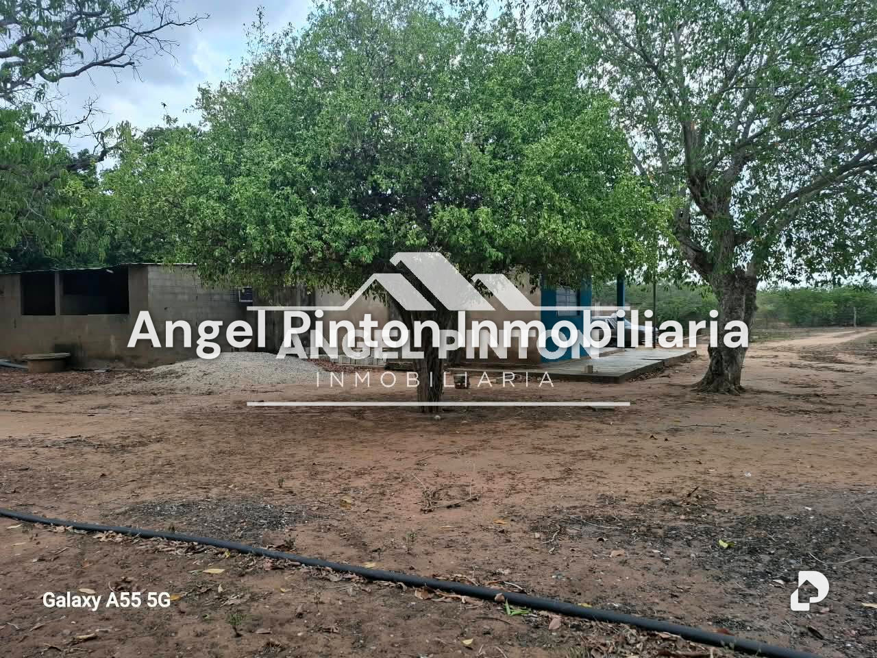Finca en San Francisco – 3