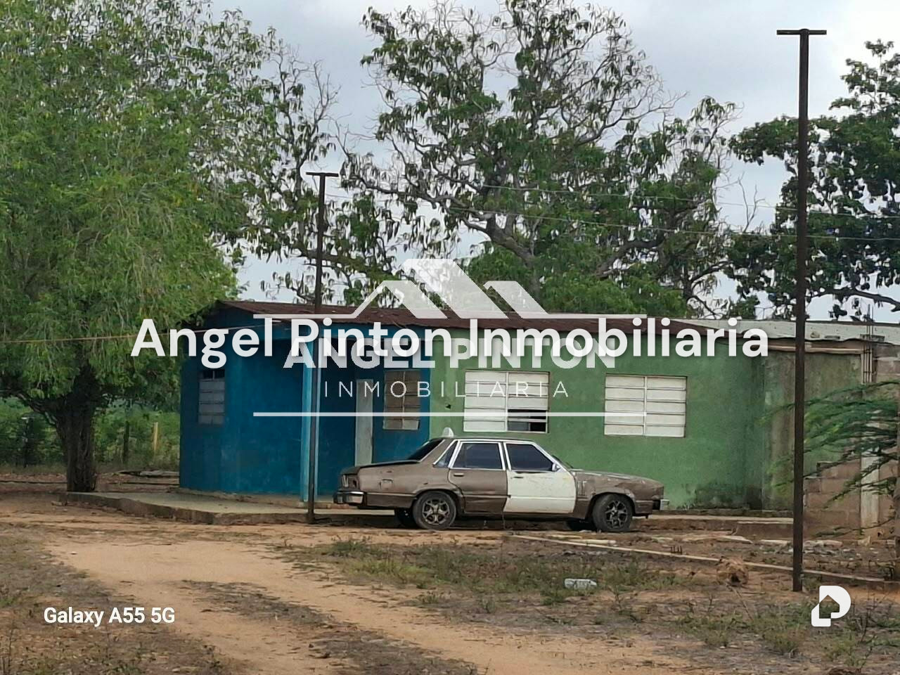 Finca en San Francisco – 7