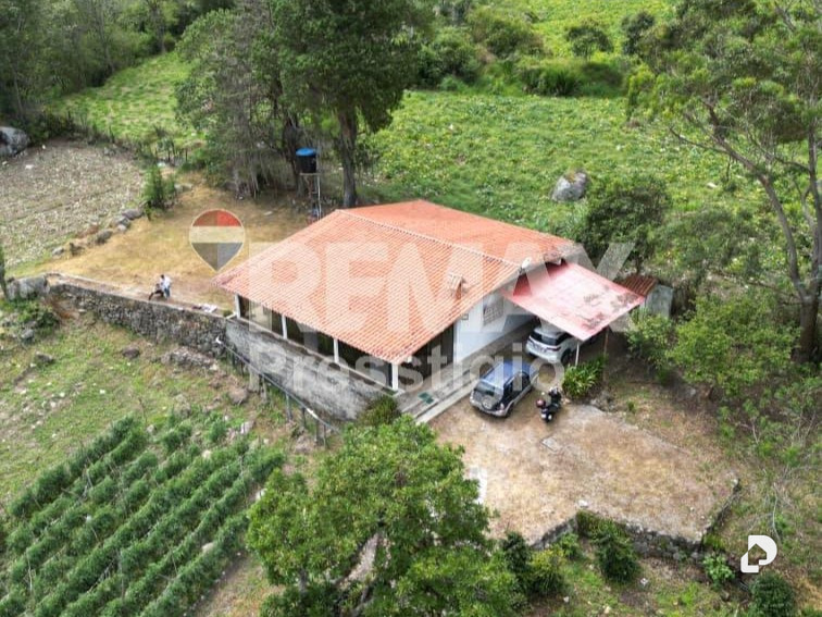 Finca en Santos Marquina – 1