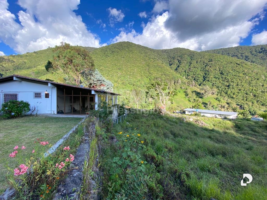 Finca en Santos Marquina – 7