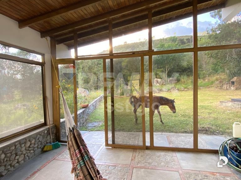 Finca en Santos Marquina – 11