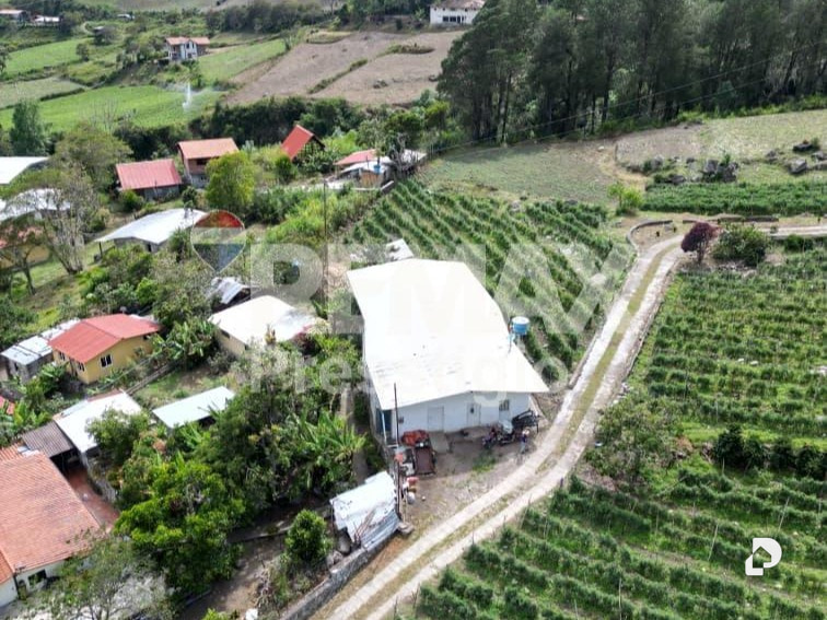 Finca en Santos Marquina – 3