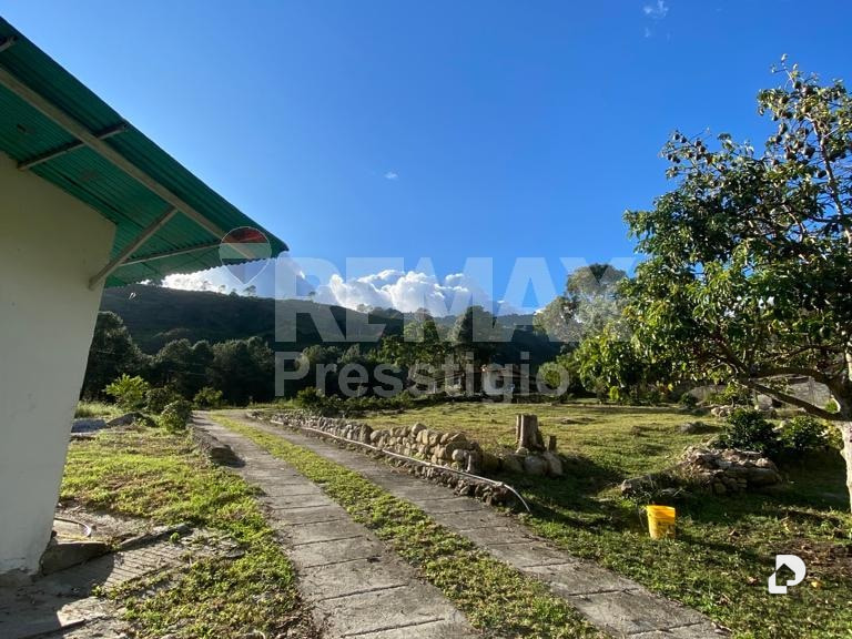 Finca en Santos Marquina – 18