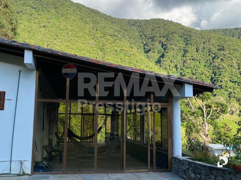 Finca en Santos Marquina – 5