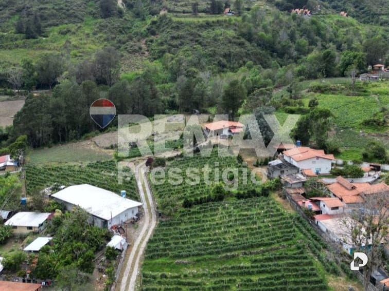 Finca en Santos Marquina – 4