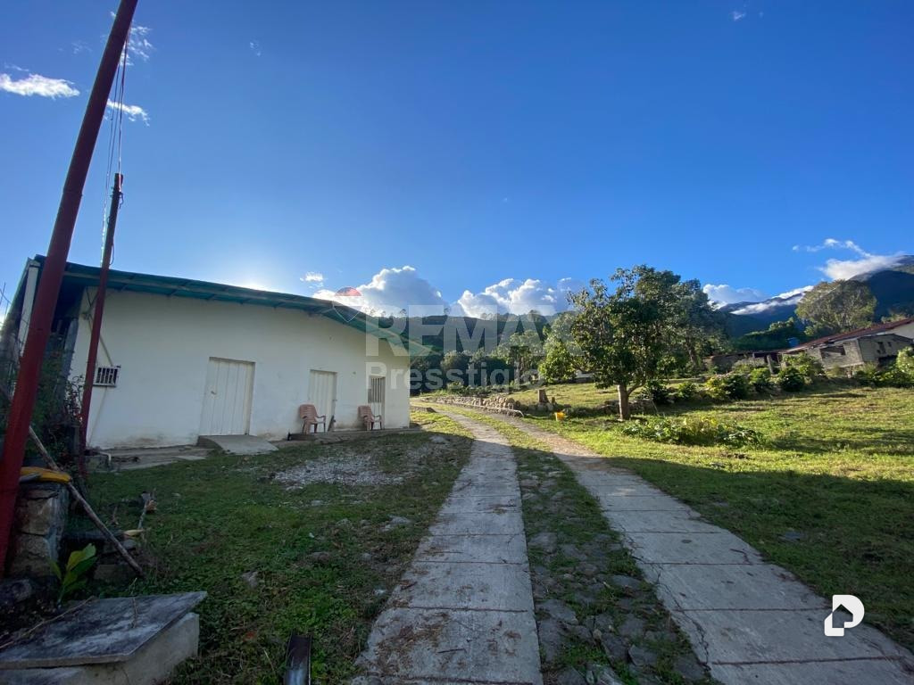 Finca en Santos Marquina – 8